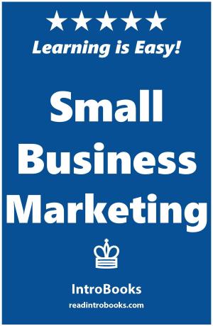 Cover of the book Small Business Marketing by Jonas Stark