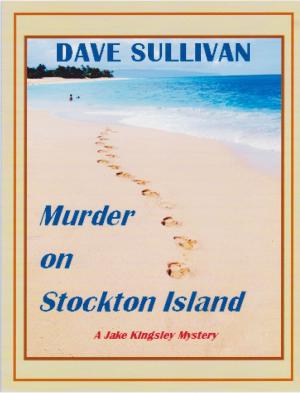 Cover of the book Murder on Stockton Island by Achim Koch