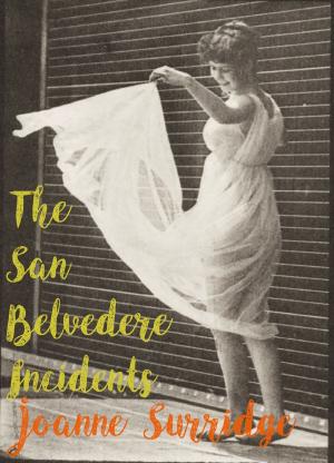 Book cover of The San Belvedere Incidents