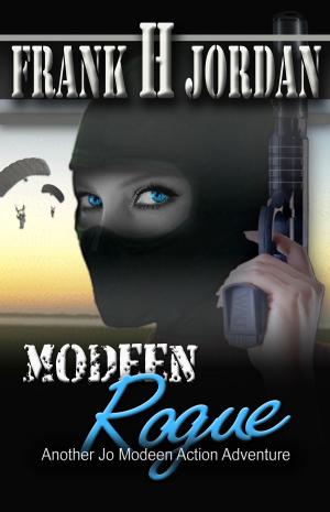 Book cover of Modeen Rogue