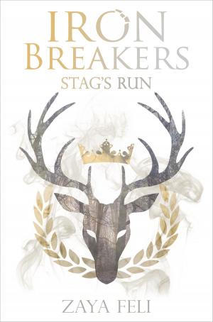 Cover of the book Iron Breakers: Stag's Run by David Bernstein