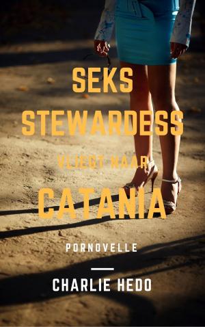 Cover of the book Seksstewardess vliegt naar Catania by Charlie Hedo