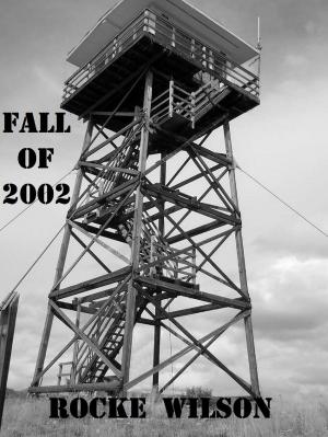 Cover of the book The Fall of 2002 by CD Hussey