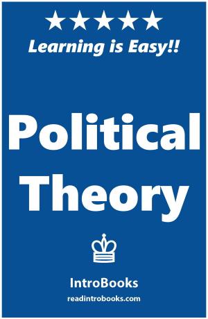 Cover of the book Political Theory by Can Akdeniz