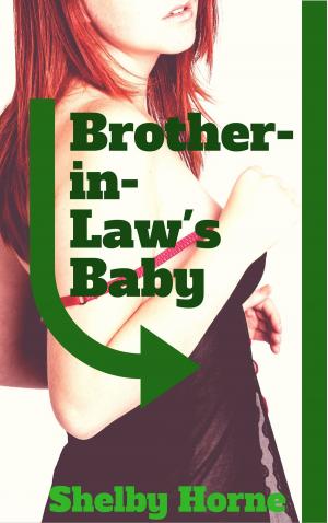 Cover of the book Brother-in-Law's Baby by Shelby Horne