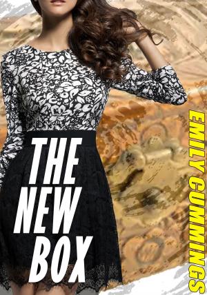 bigCover of the book The New Box by 