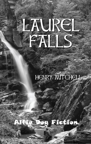 Cover of the book Laurel Falls by Talkback Writers