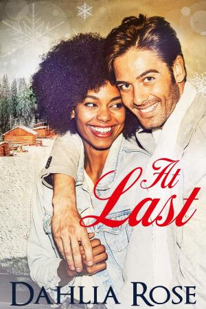 Cover of the book At Last by Rain Trueax