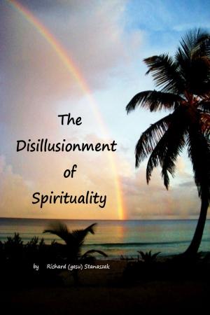Cover of the book The Disillusionment of Spirituality by J Steele Sandomire