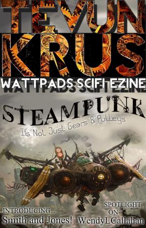 Cover of the book Tevun-Krus #3: SteamPunk by Trish Mercer