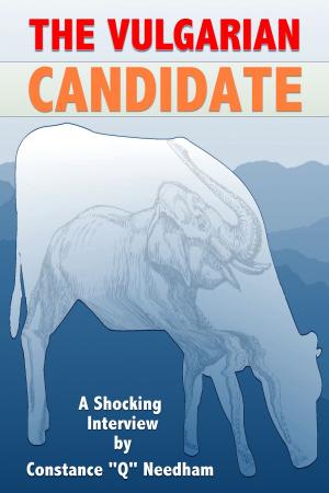 Cover of the book The Vulgarian Candidate by Wolf Heinrich