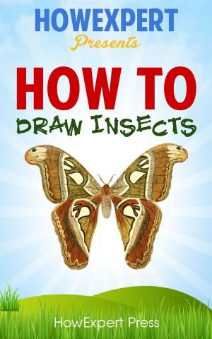 Book cover of How To Draw Insects