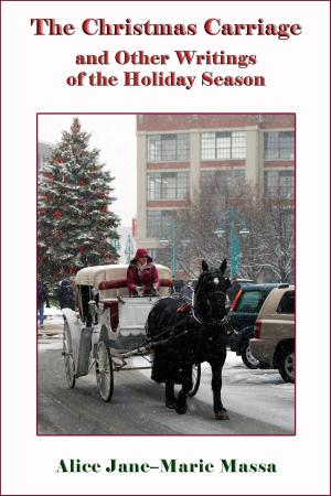 Book cover of The Christmas Carriage
