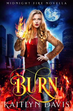 Cover of the book Burn (Midnight Fire Series Book Five) by V.R. Harimenko