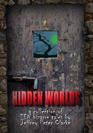 Book cover of Hidden Worlds: 1