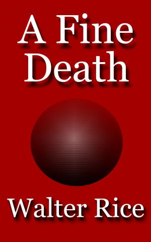 Book cover of A Fine Death