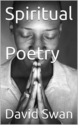 Cover of the book Spiritual Poetry by Nataša Dolenc