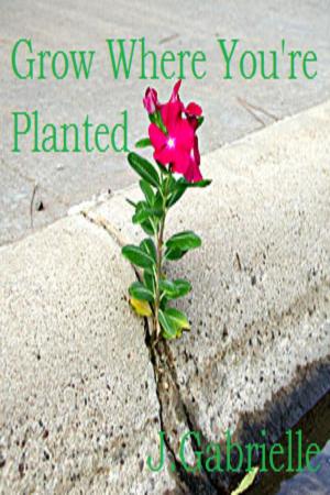 bigCover of the book Grow Where You're Planted by 