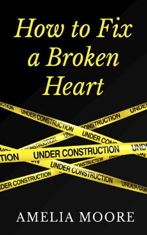 bigCover of the book How To Fix A Broken Heart (Book 2 of "Erotic Love Stories") by 