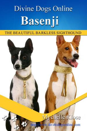 Book cover of Basenji