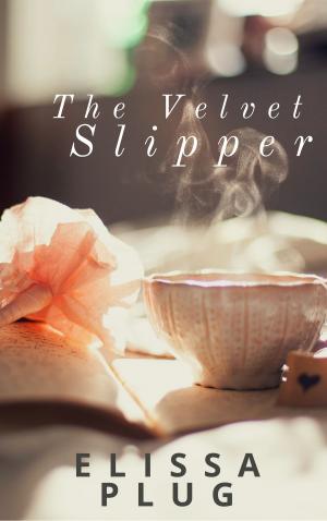 Book cover of The Velvet Slipper
