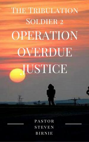Cover of The Tribulation Soldier 2: Operation Overdue Justice