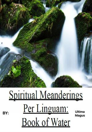 Cover of the book Spiritual Meanderings per Linguam: Book of Water by David McLachlan