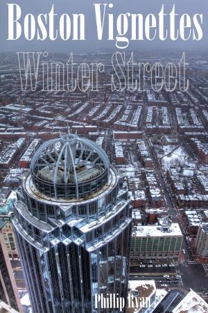 Cover of the book Boston Vignettes: Winter Street by Antonio Carlo Vitti