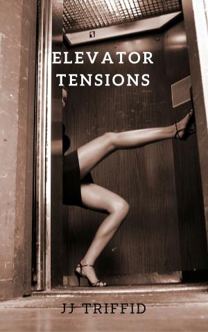 Cover of the book Elevator Tensions by Lisandra Lantigua