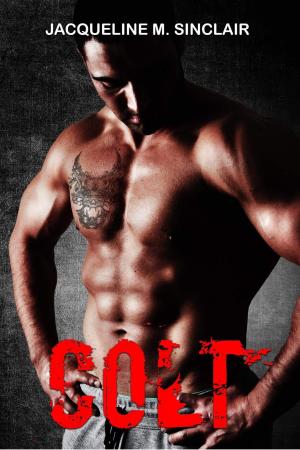 Book cover of Colt (Demons of Destruction Book 1)
