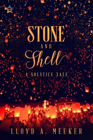 Cover of the book Stone and Shell by T.J. Land