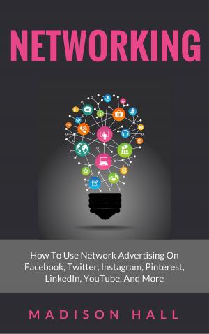 Book cover of Networking: How to Use Network Advertising on Facebook, Twitter, Instagram, Pinterest, LinkedIn, YouTube, and More