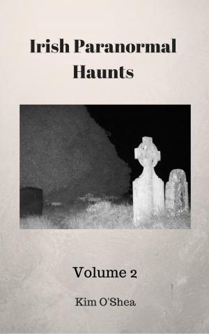 Book cover of Irish Paranormal Haunts Volume 2
