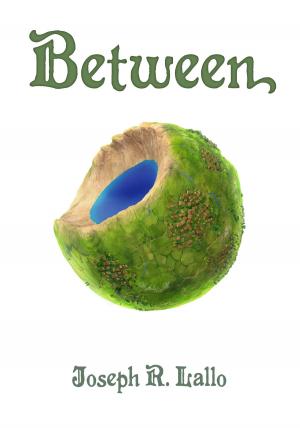 Cover of the book Between by Joseph R. Lallo