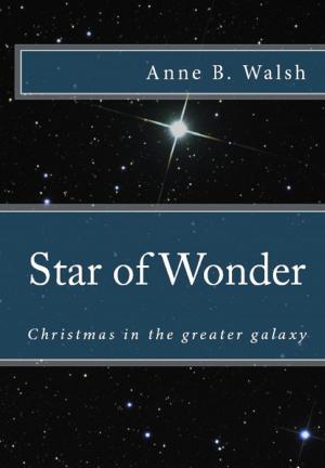 Cover of the book Star of Wonder by Laurentiu M. Badea