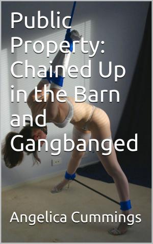 Cover of the book Public Property: Chained Up in the Barn and Gangbanged by Angelica Cummings