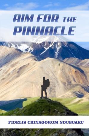 Cover of the book Aim for the Pinnacle by Linda R. Harper, Ph.D.