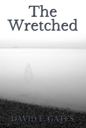 Book cover of The Wretched