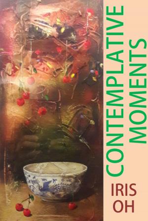 Book cover of Contemplative Moments