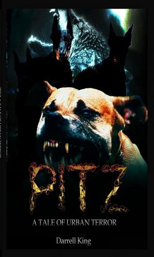 Book cover of Pitz- A Tale Of Urban Terror