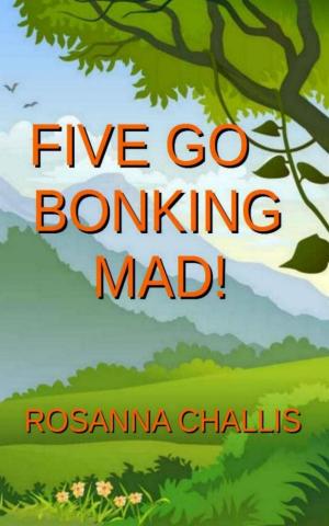 Cover of the book Five Go Bonking Mad! by Karen-Susan Fessel