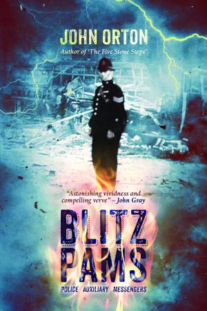Cover of the book Blitz PAMs by Sandra E Sinclair