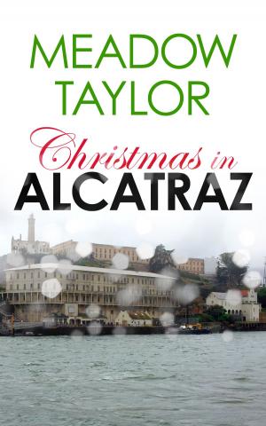 Book cover of Christmas in Alcatraz: A Short Cozy Romance