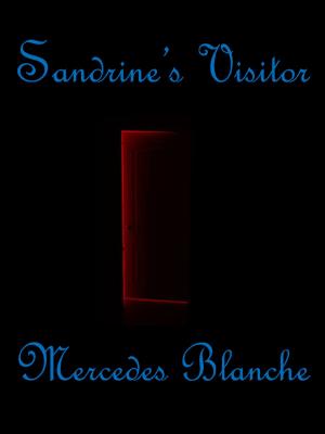 Cover of the book Sandrine's Visitor by Martine Chevry