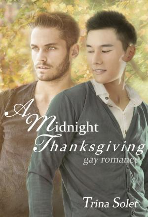 Cover of the book A Midnight Thanksgiving (Gay Romance) by Trina Solet