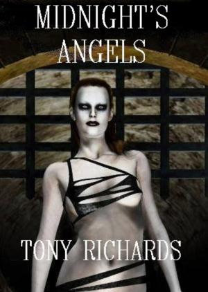 Cover of Midnight's Angels (Raine's Landing #3)