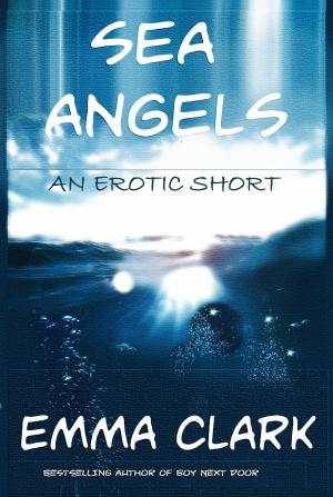Book cover of Sea Angels