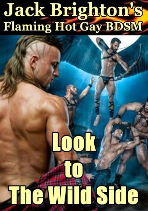 Cover of the book Look to The Wild Side by Cara B. Connor