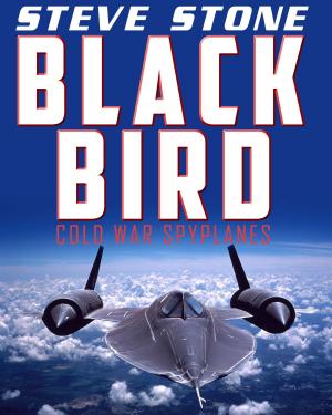 Book cover of Blackbird: Cold War Spyplanes