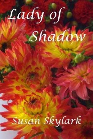 Cover of the book Lady of Shadow by Richard Ankony